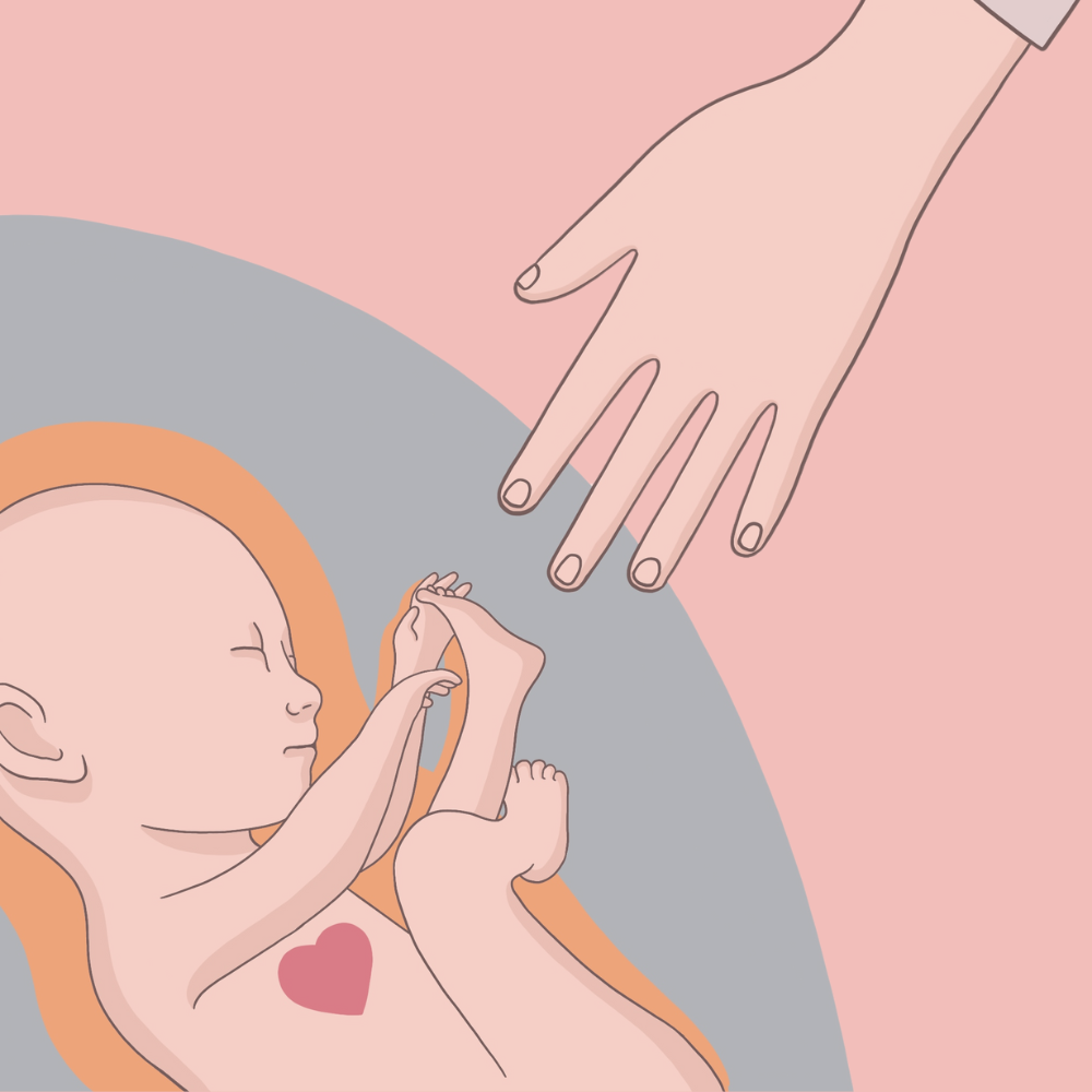 Illustrazione di un bebè nell'utero e una mano tesa sopra di lui