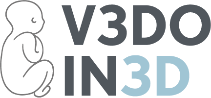 Logo V3DO grigio sfondo trasparente